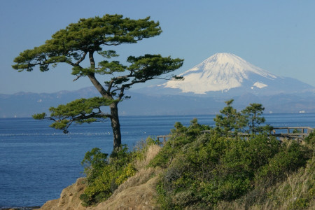 橫須賀的海上旅行：探索海邊和美國文化