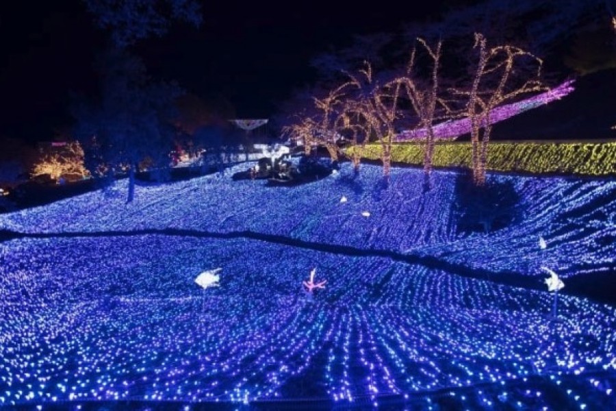 Picture courtesy of Sagamiko Resort Pleasure Forest