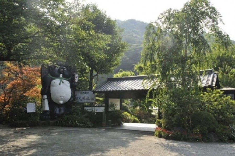 Picture courtesy: Iiyama Onsen Motoyu Ryokan