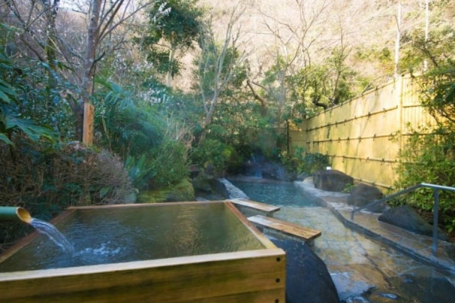 Picture courtesy: Iiyama Onsen Motoyu Ryokan