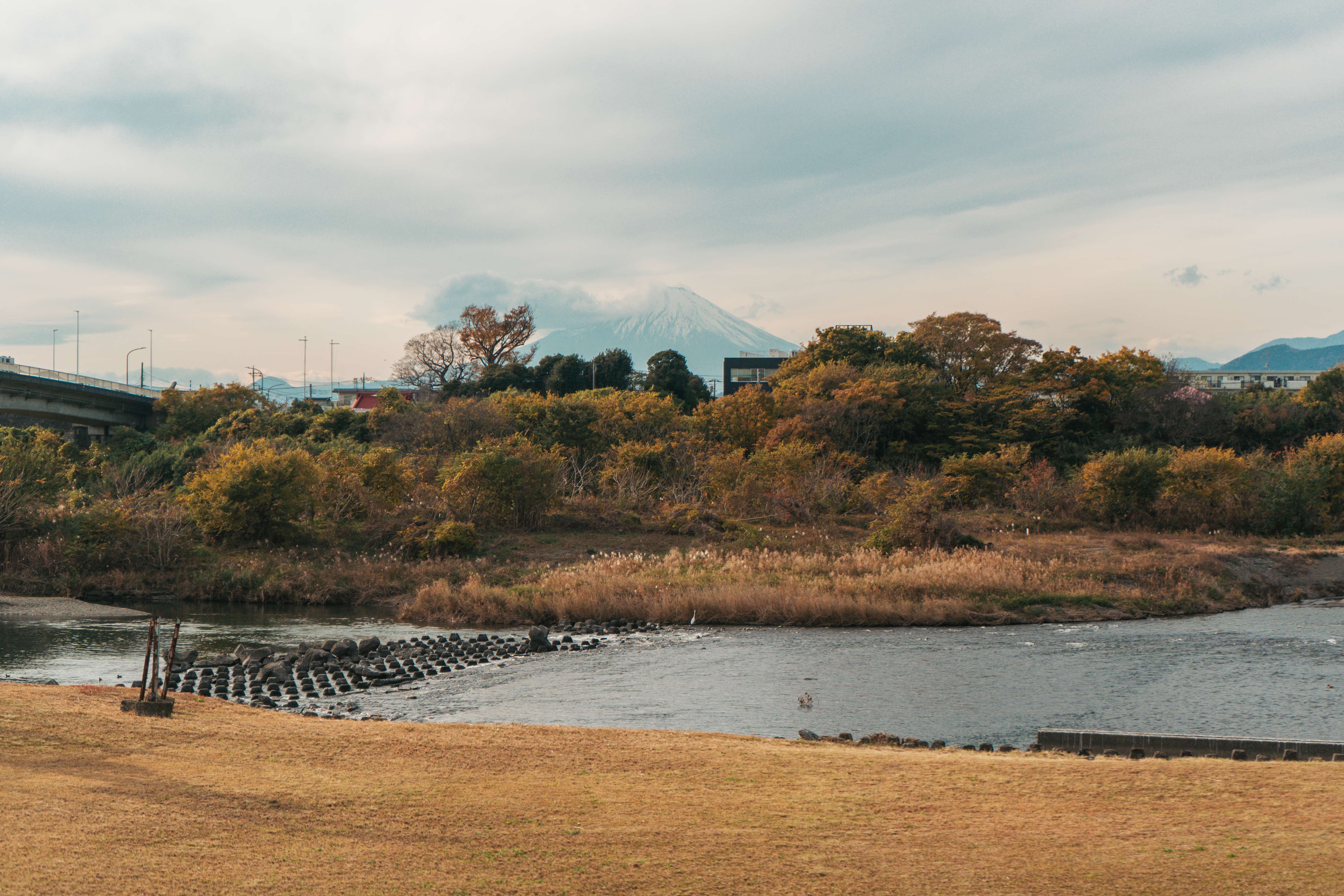 Vista del Monte Fuji desde el Parque Kawatonofureai (Cathy Guex)