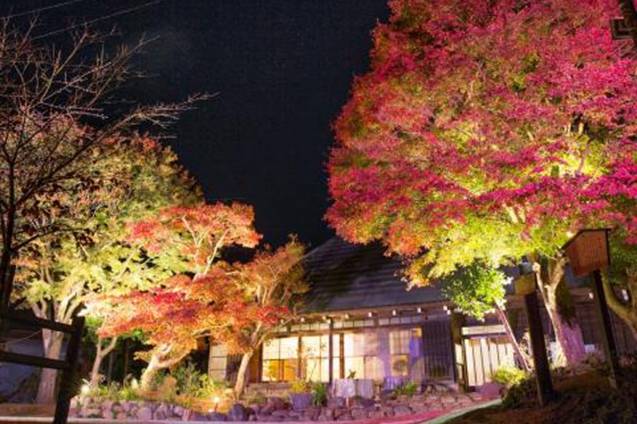 Autumn illumination at Ryokusui-an