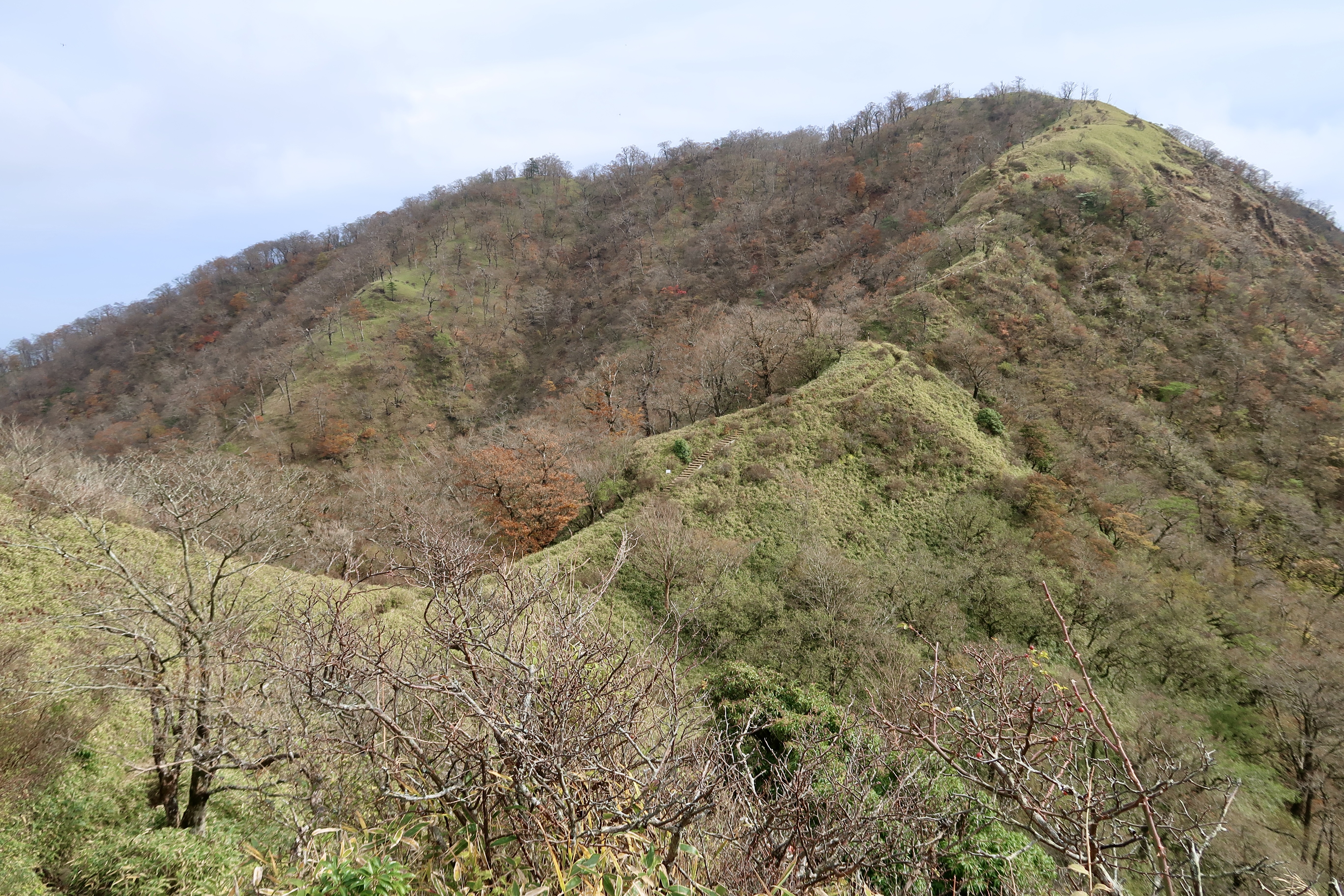 View of the trail between Mt. Tanzawa and Mt. Hirugatake