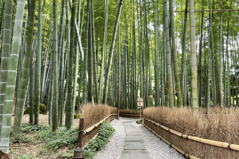 鎌倉的可持續旅遊