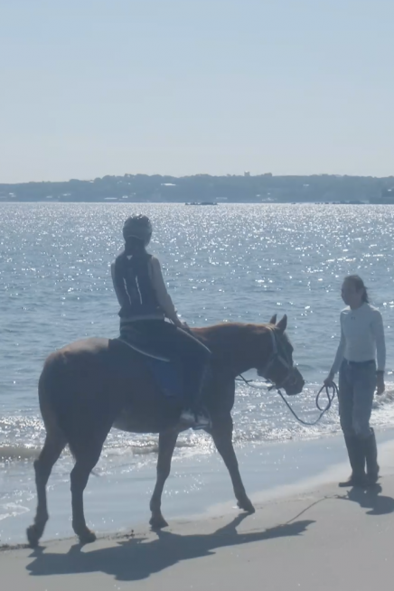 Pferdetrekking an der Miura-Küste
