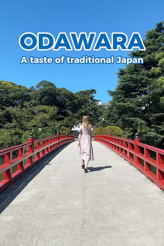 How to Experience Odawara to the Fullest