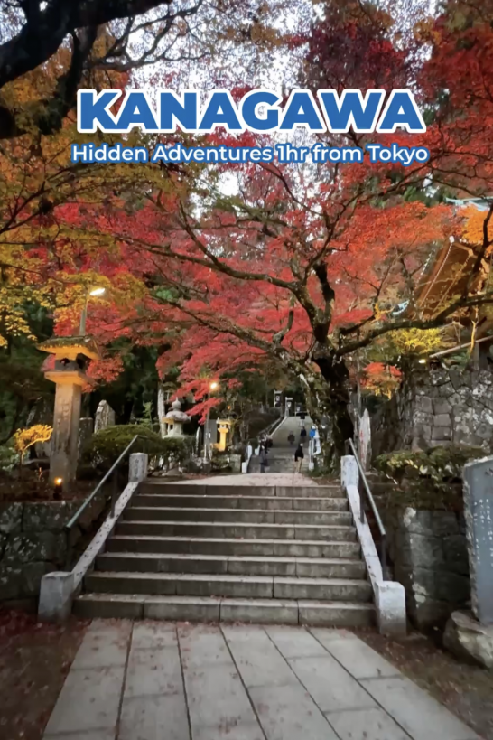 Hidden Adventures 1 Hour from Tokyo