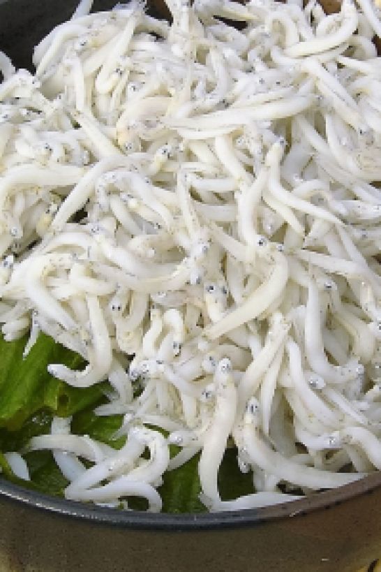 Le shirasu Don de Shonan (Bol de riz et friture)