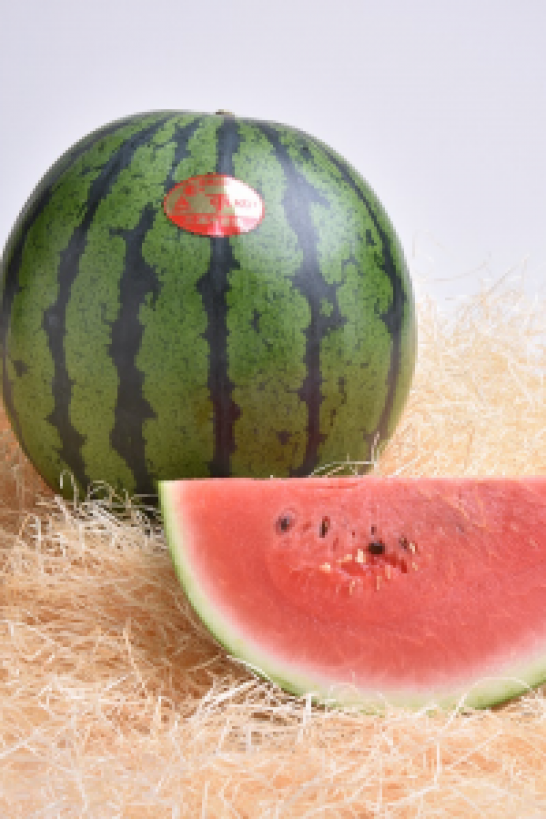 Miura Watermelon