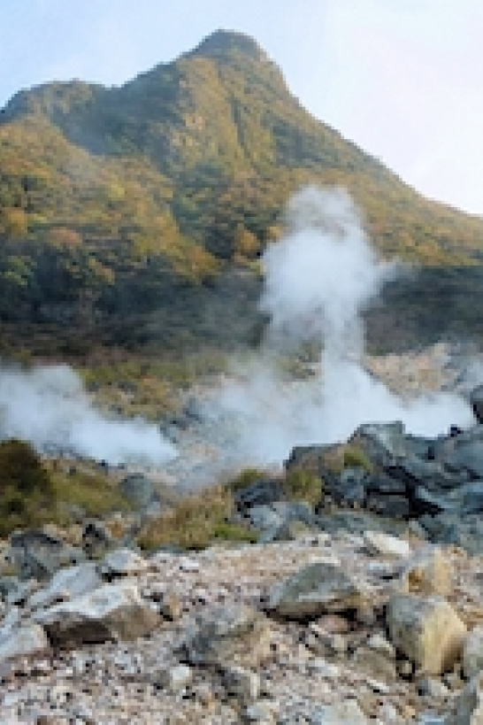 紧急情况时信息