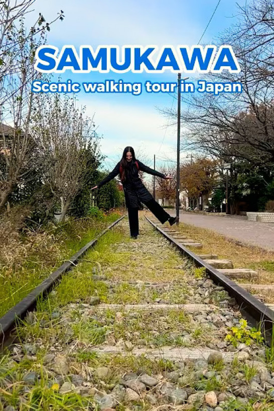 Scenic Walking Tour in Japan