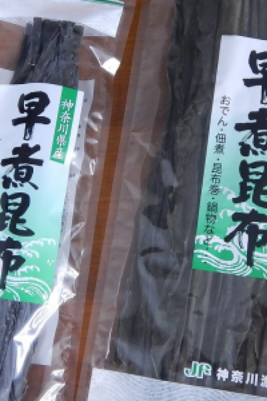 Kelp of Yokosuka & Yokohama