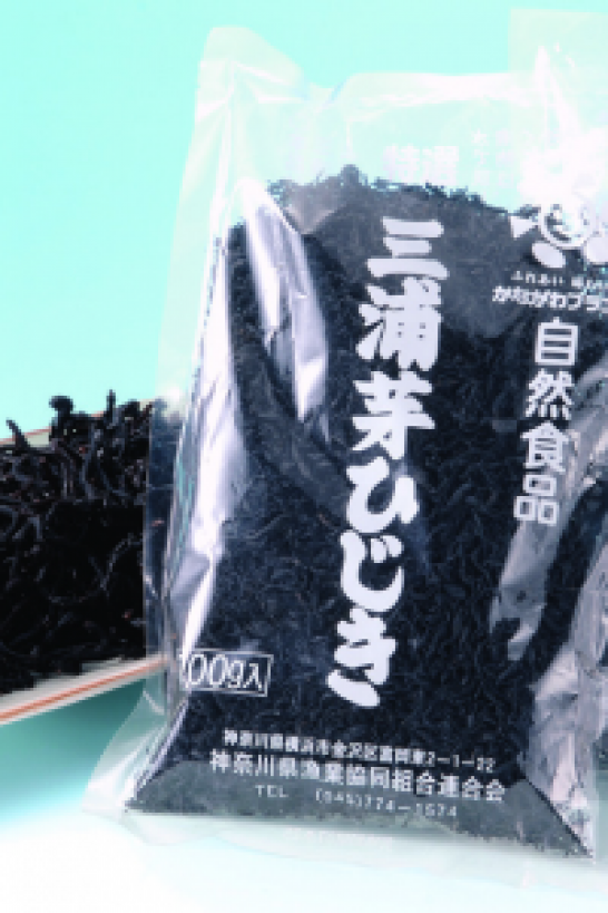 Hijiki seaweed of Yokosuka & Miura
