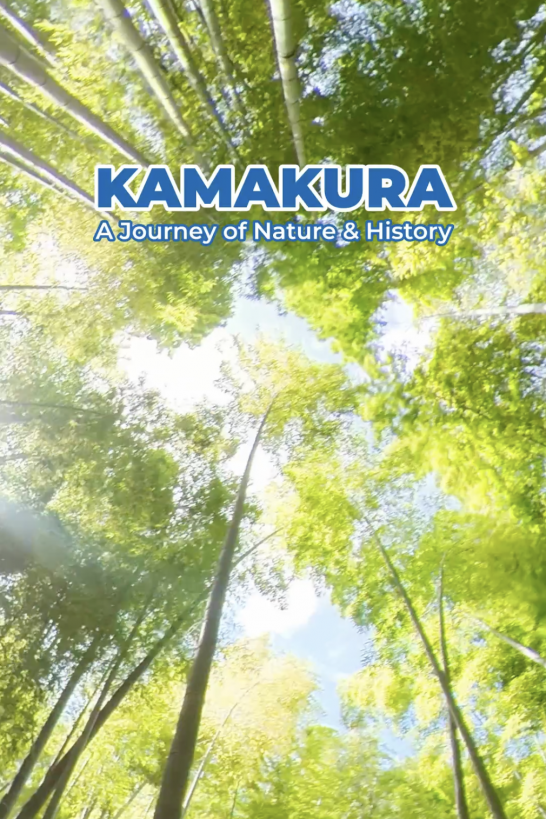 Hành trình của thiên nhiên và lịch sử