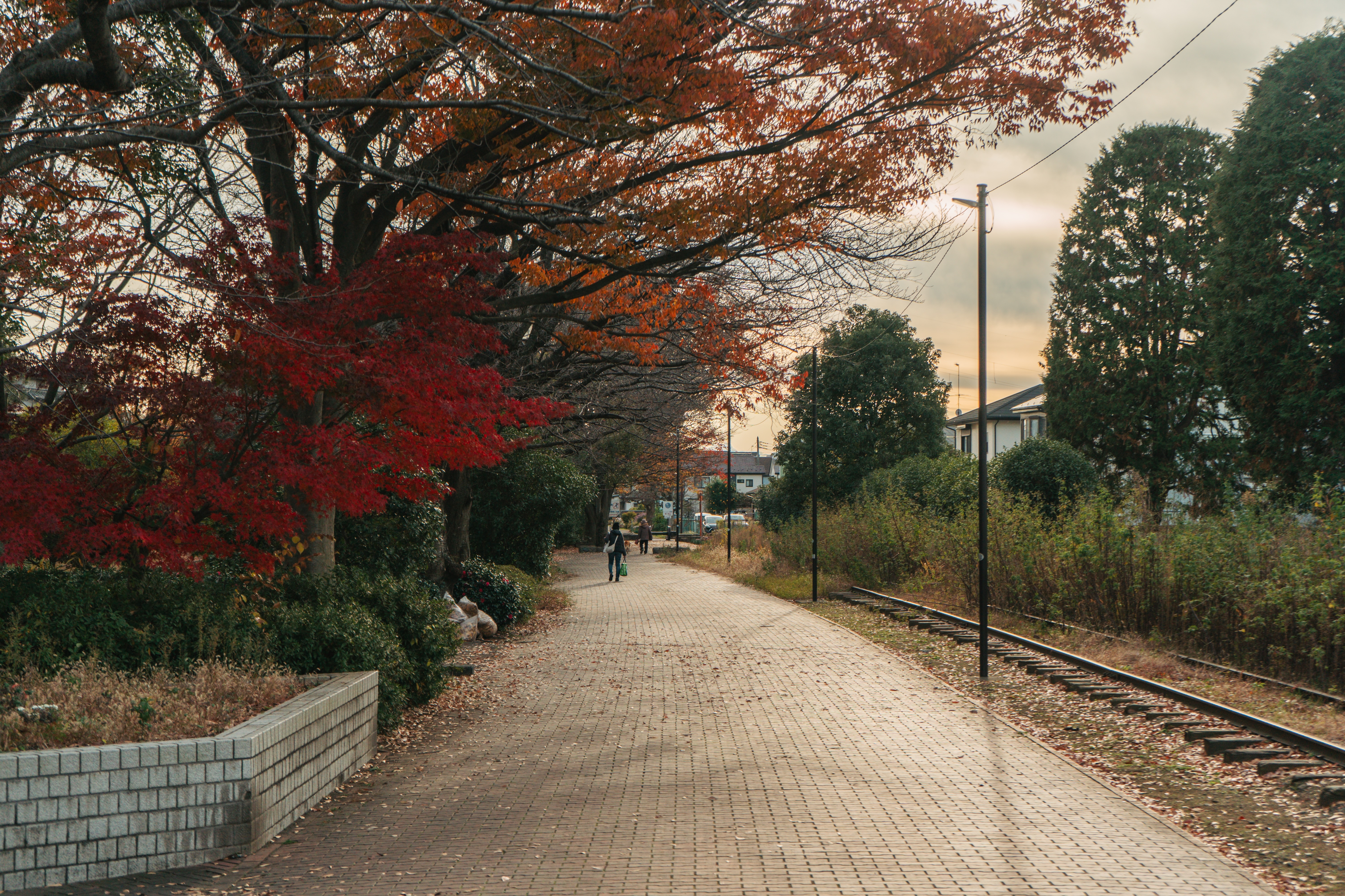 Camino de la vegetación de Ichinomiya junto a unas vías de tren abandonadas (Cathy Guex)