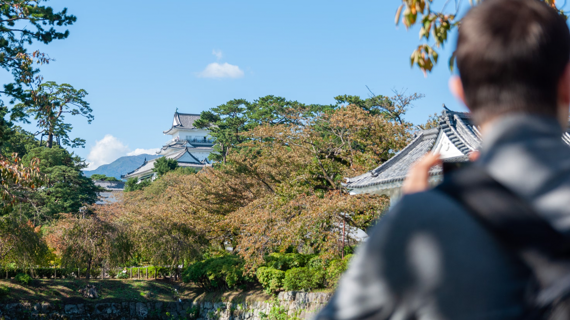 Explore the best of what Kanagawa has to offer