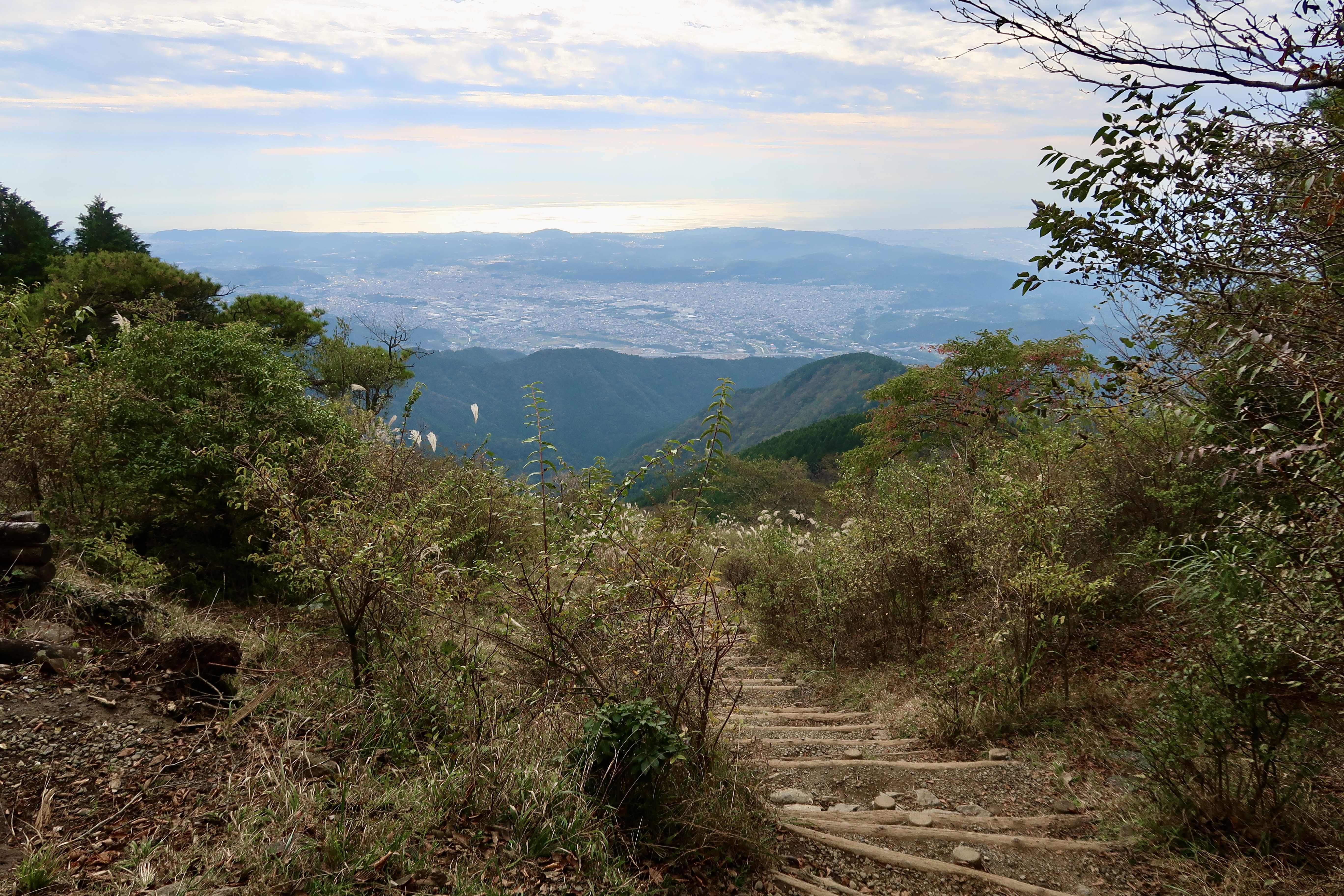 Elevated views of a cityscape and Sagami Bay