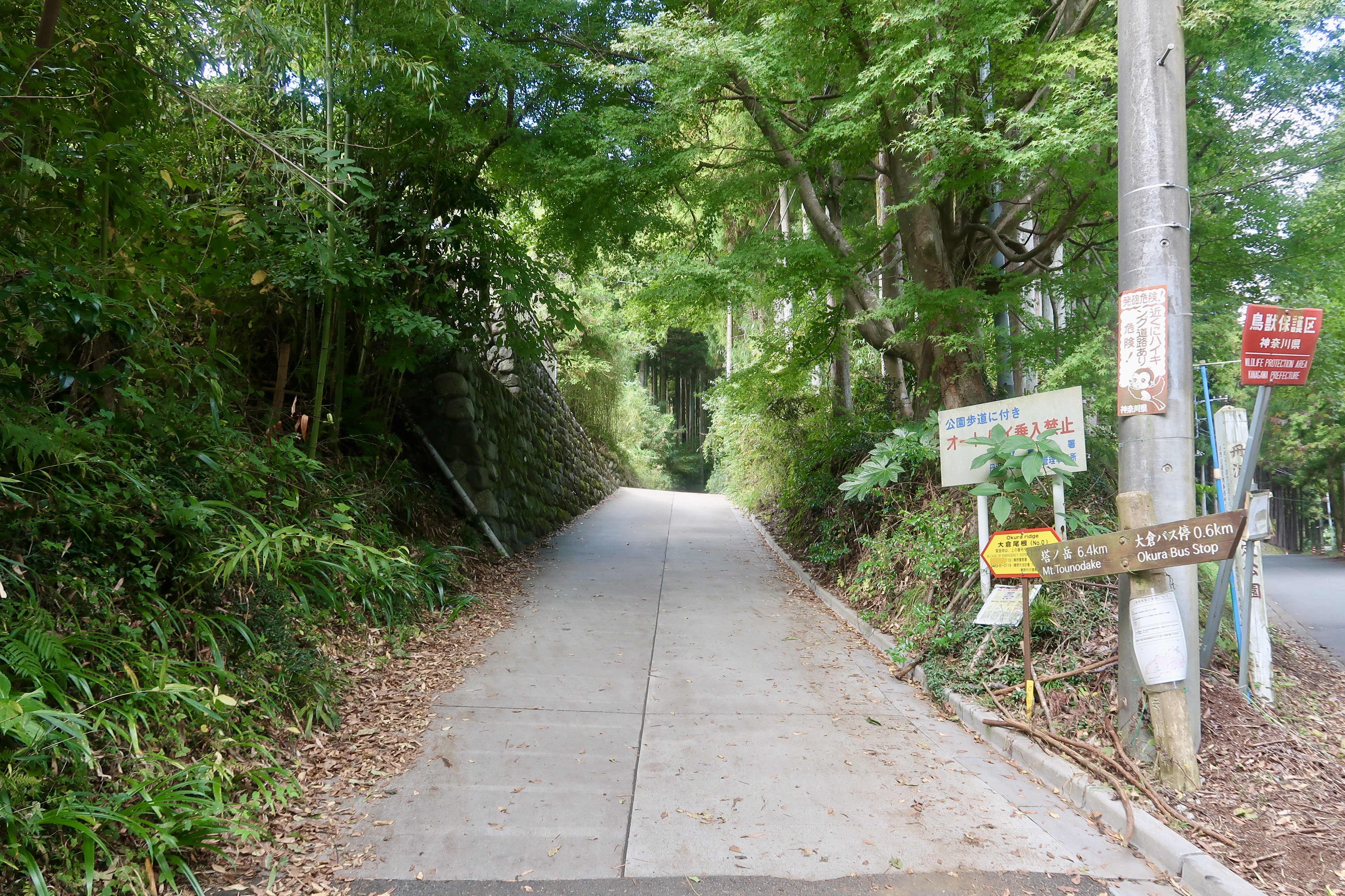 Start of Mt. Tonodake hike