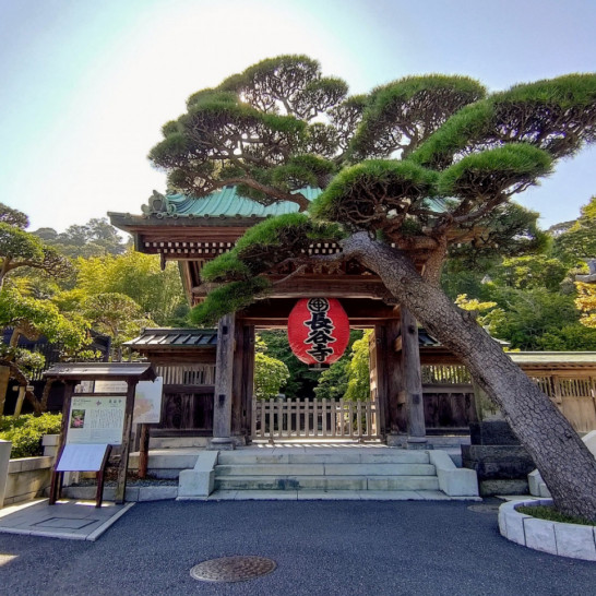 Khám phá cái Kamakura