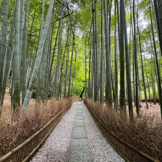 Khám phá cái Kamakura