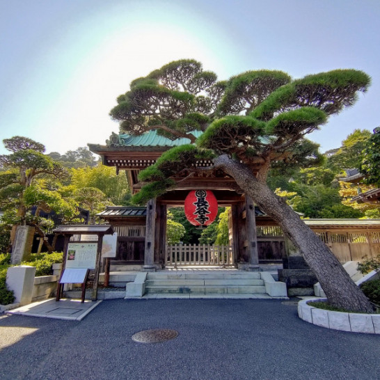 Explore Kamakura