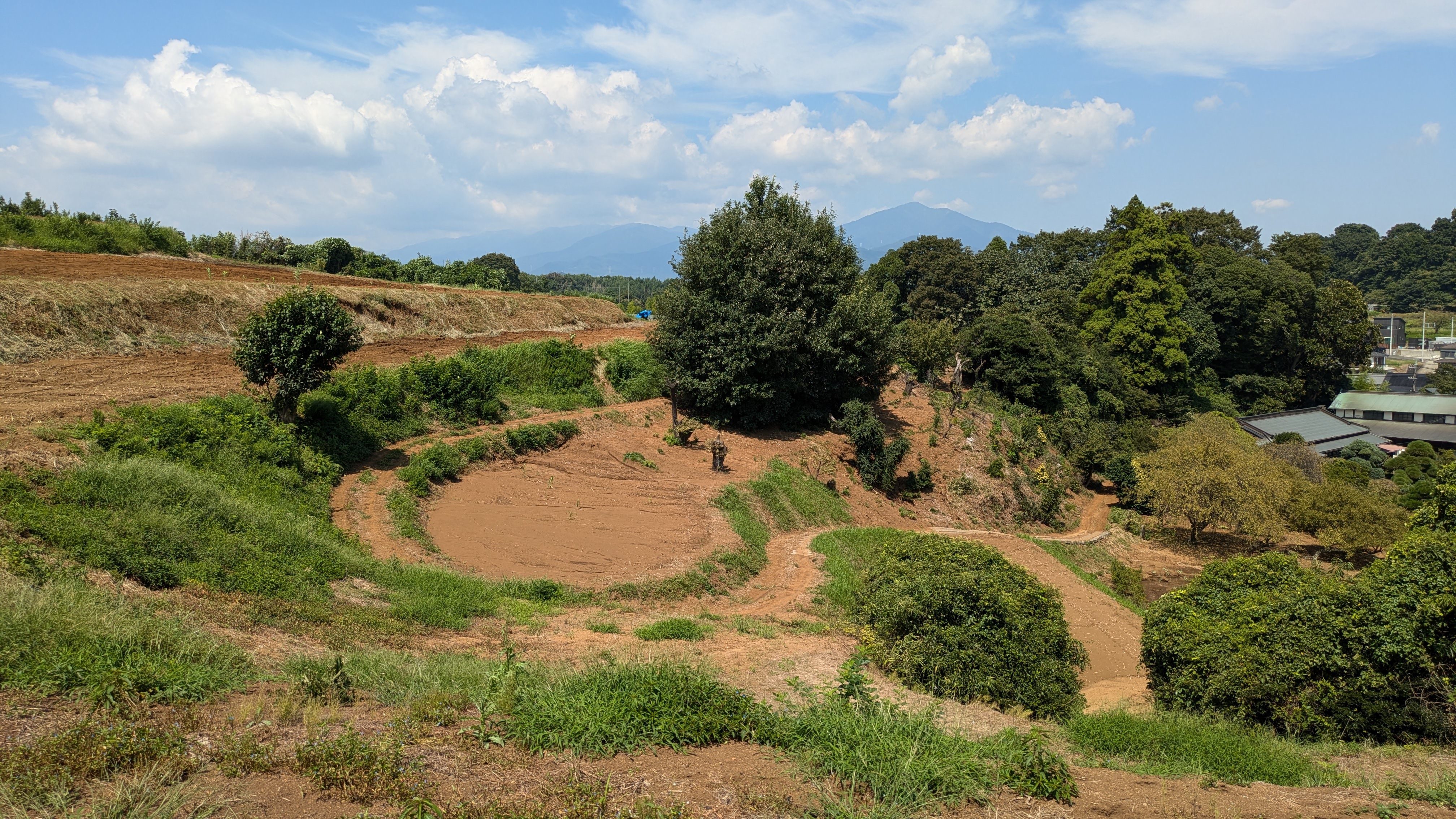 吉澤里地