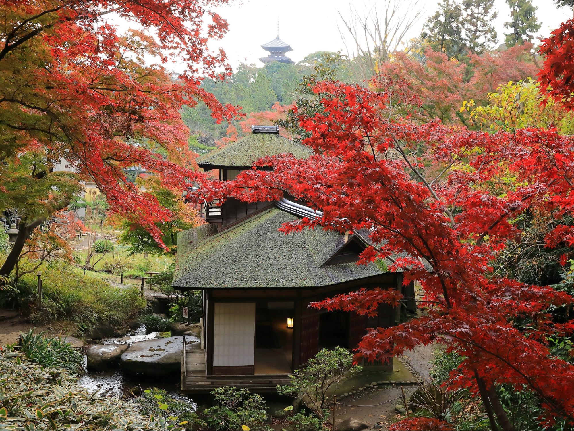 Image credit: Sankeien Garden
