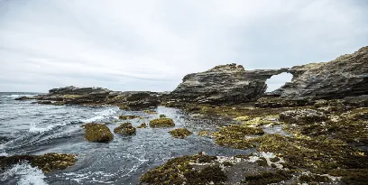 三浦市