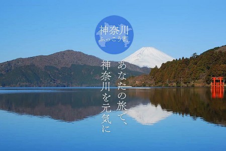 神奈川県ふっこう割を使って冬の神奈川を満喫しよう!