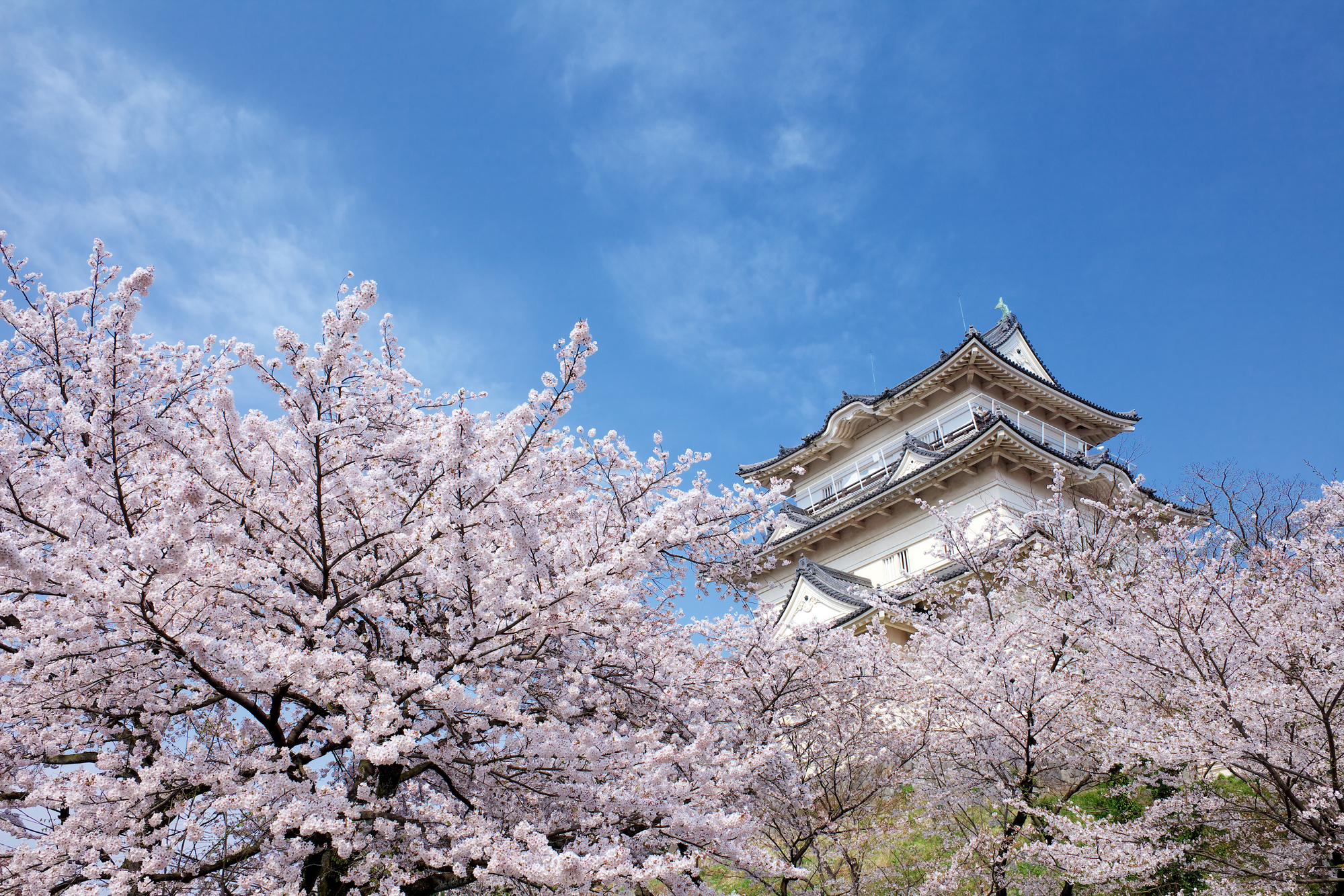 About Kanagawa