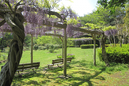 Công viên Obajoshi image