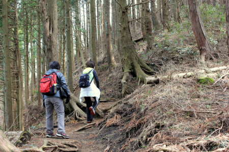 矢倉岳ハイキングコース image