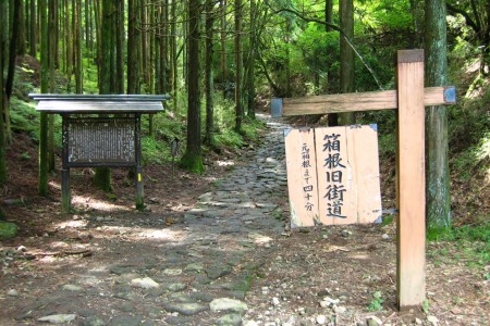 Tuyến xa lộ cổ xưa Hakone image