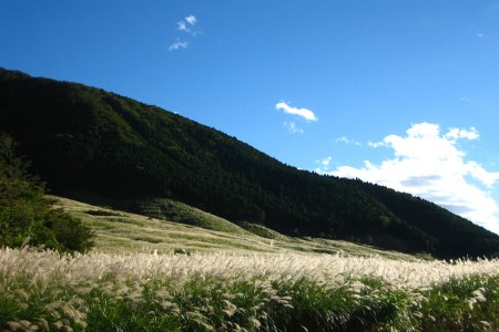 Đồng cỏ hoang Sengokuhara ở Hakone và thư giãn khi đến thăm bảo tàng nghệ thuật