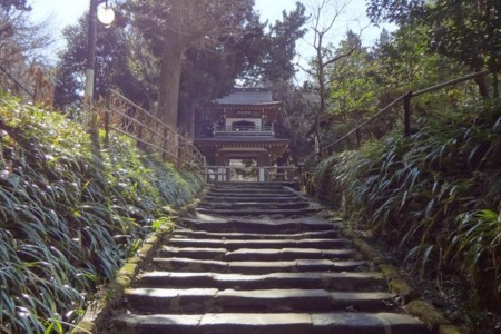 Le temple Jochi-ji