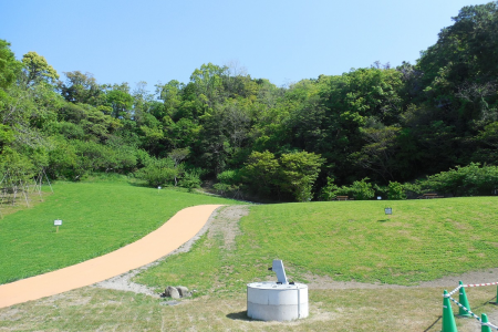 Radiant Flower Hill Park image