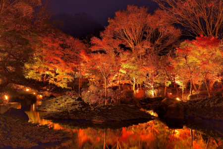 Công viên Oisojoyama image