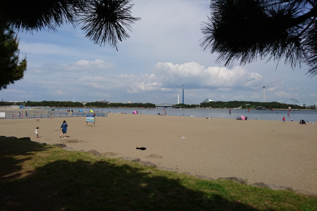 海滨公园 image