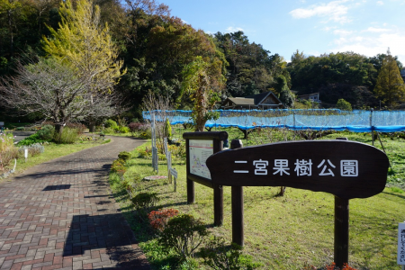 Parque del Huerto de Ninomiya