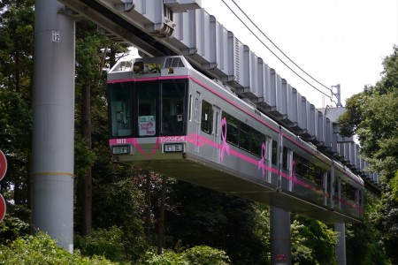 Tàu một ray Shonan Monorail  image