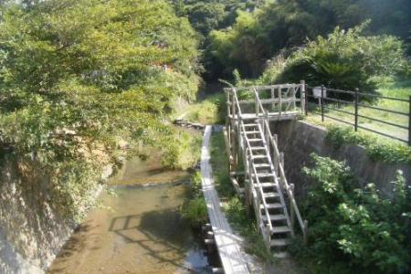 Paseo de Maedagawa image