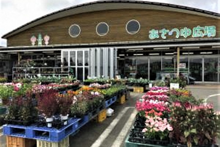 Marché fermier d&#039;Asatsuyu Hiroba image