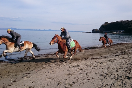 Khóa học cưỡi ngựa ở trang trại Miurakaiga