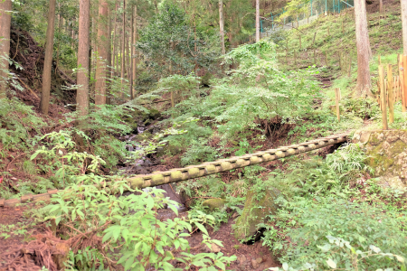 Tuyến đường đi bộ leo núi Kujyukukyoku (99 khúc cua)