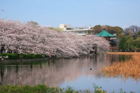 สวนอูเอโนะ อนชิ (Ueno Onshi) image