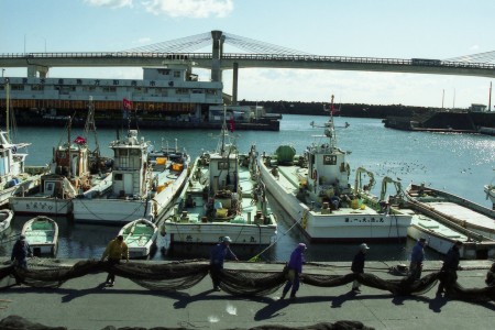Odawara Fishing Port image