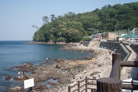 琴濱海岸 image