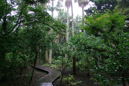 Enoshima Samuel Cocking Garten