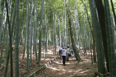 Festival du charbon de bambou d&#039;Endo et le sanctuaire de Samukawa