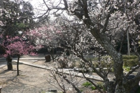 地福寺 image